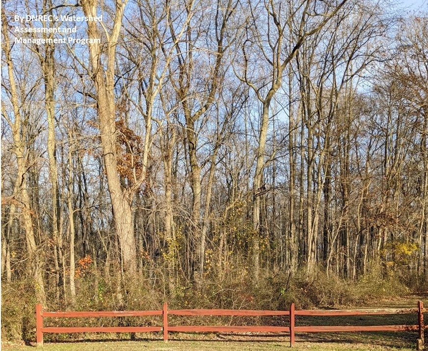 Duane-Loveland_Brecks-Mil-on-Brandywine